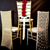 Party Decor specialty chair covers